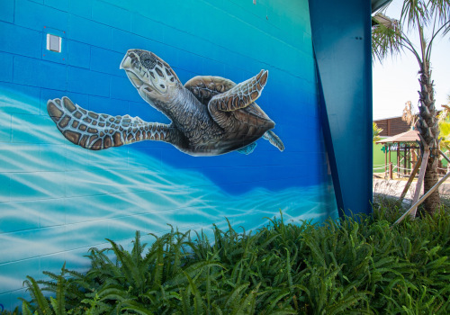 The Impact of Nonprofit Organizations on Animal Welfare in Gulfport, MS